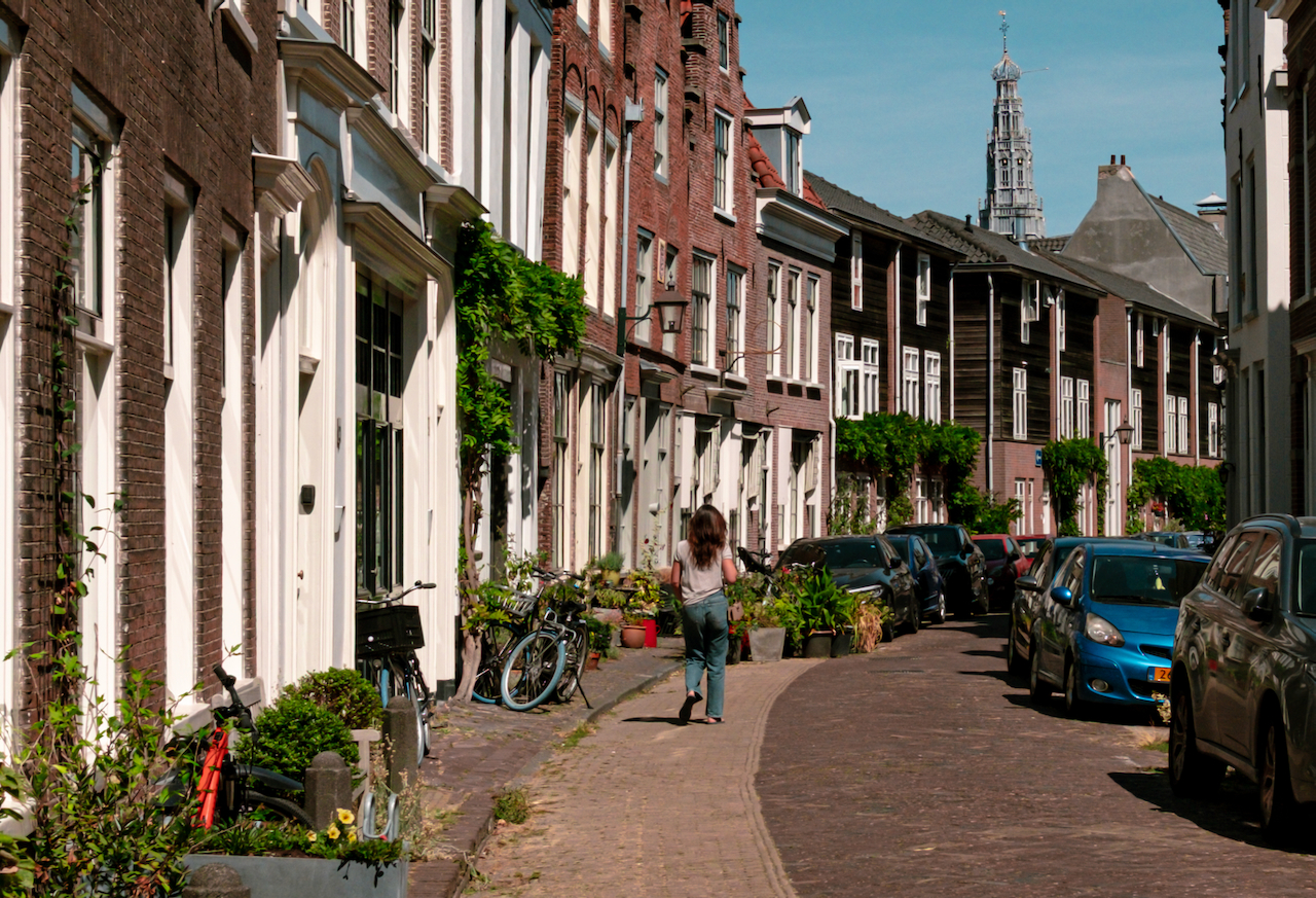A quiet Haarlem street lined with brick houses, plants and bicycles