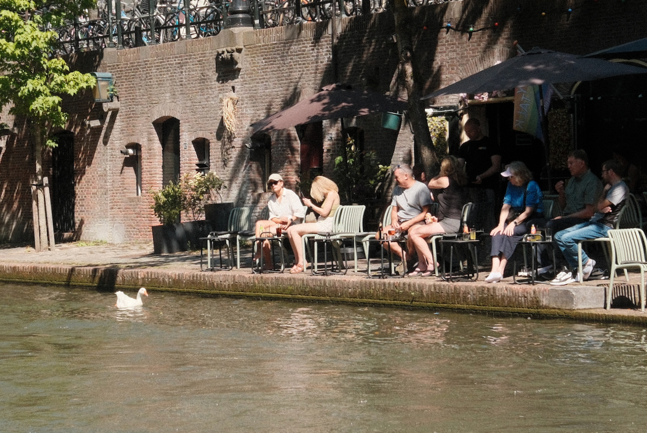 A shaded canal-side terrace with a white duck in the water