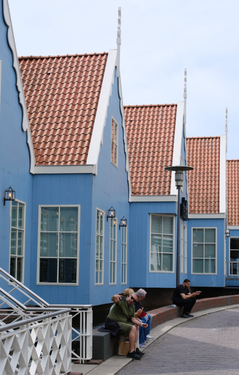 A receding row of blue wooden houses with red tiled roofs